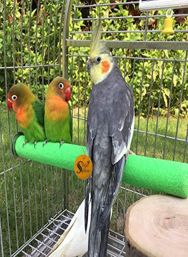 سايج سكوير مجموعة سيج سكوير من 3 قطع من موائل الطيور الطبيعية، عبارة عن مجثم/حامل/لعبة خشبية رملية للببغاء/الكوكاتيل/الببغاء الرمادي الأفريقي/الكوكاتو (3 قطع) (الأحجام - 8 بوصات، 12 بوصة، 16 بوصة). - Image 3